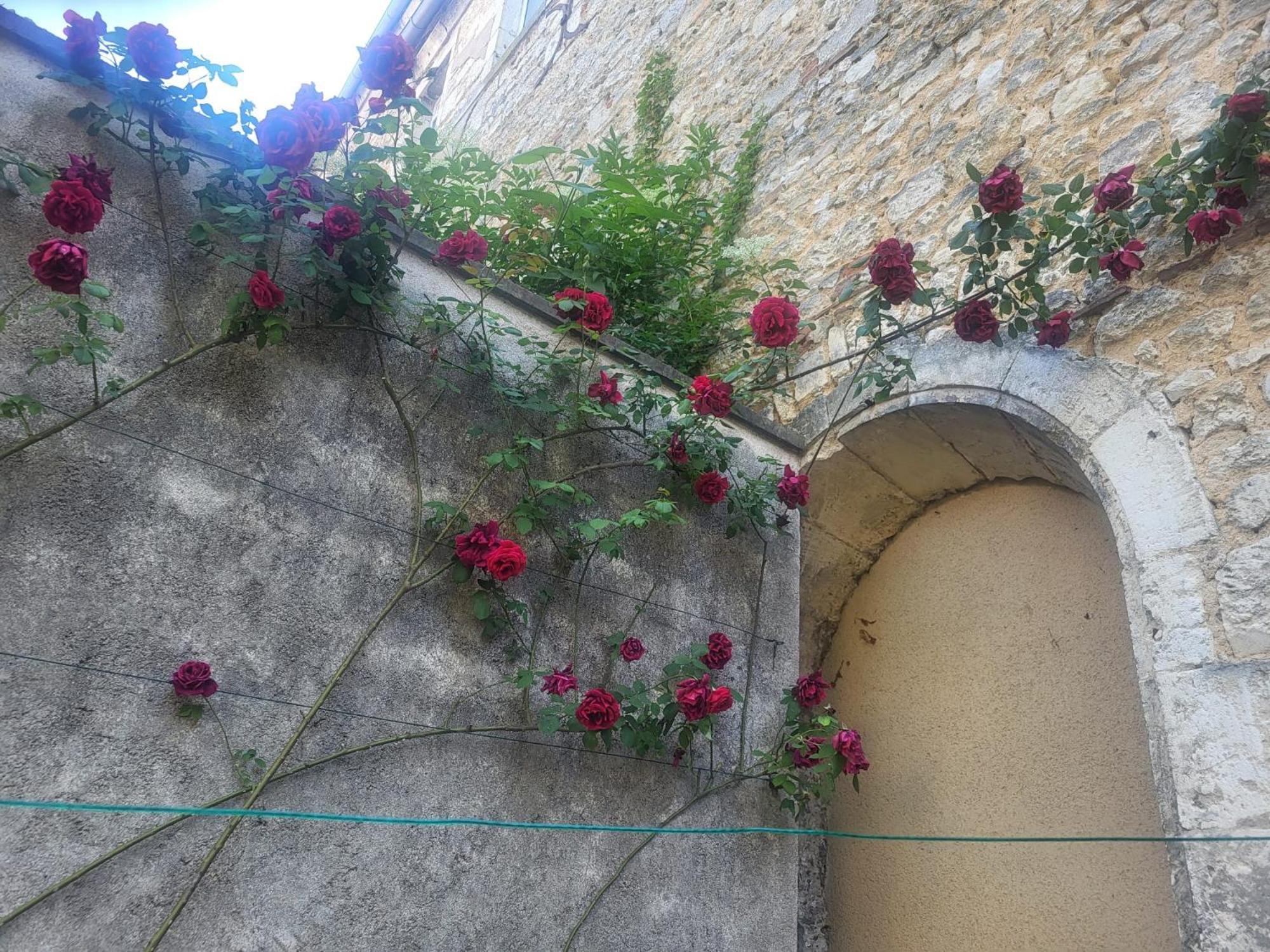Apartamento Au Puits De L'Abbaye Bourges Exterior foto